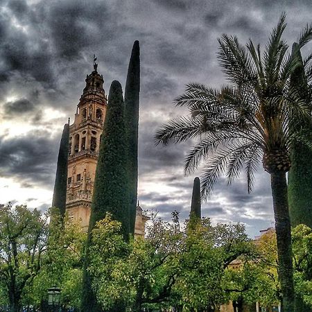 Apartmán Rosmarinus Centro Córdoba Exteriér fotografie